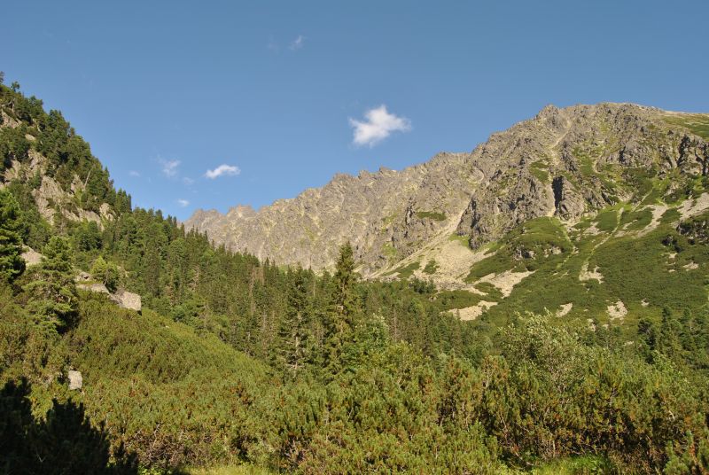 pepajs.cz